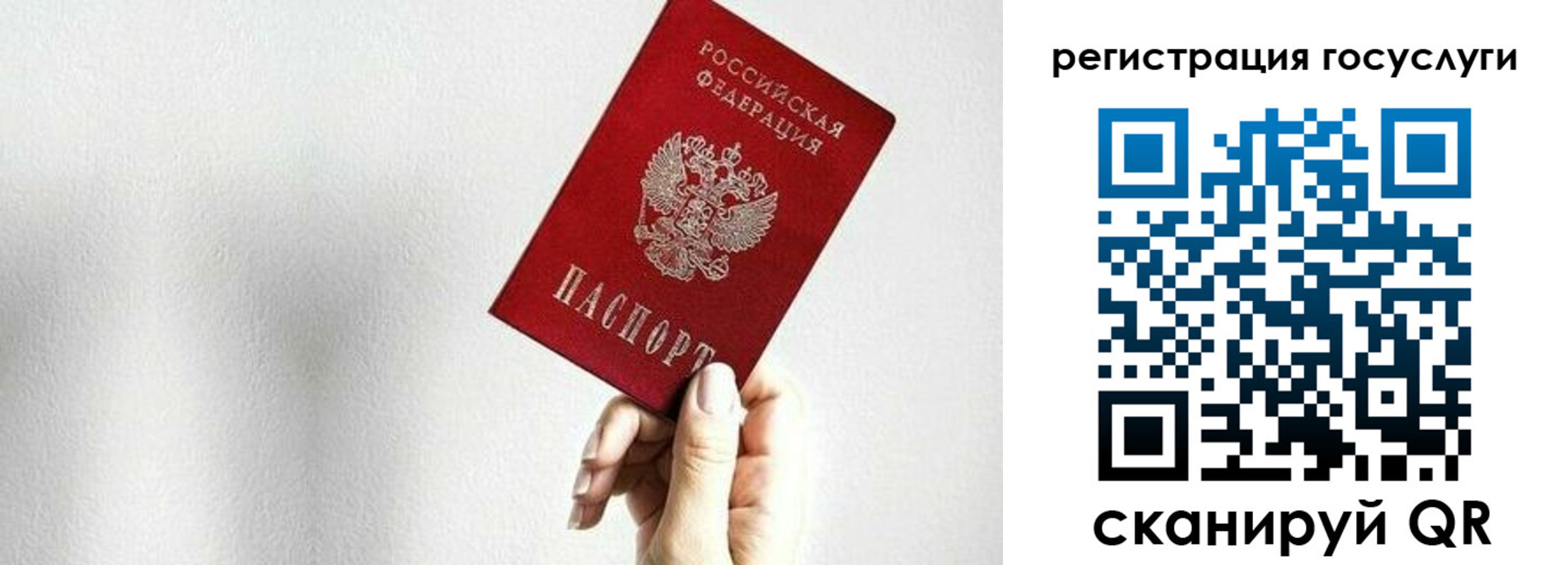прописка гарантия в Дедовске